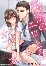 秘密のエロとろオフィス パッケージ画像表