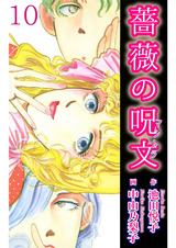 薔薇の呪文10 パッケージ画像表
