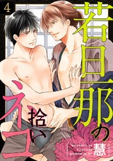 若旦那の拾いネコ(4)  パッケージ画像