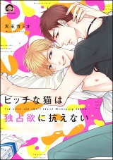 ビッチな猫は独占欲に抗えない【電子限定かきおろし漫画付】 パッケージ画像表