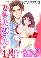 一妻多夫　私の夫が4人!?　～村の掟と巫女の秘密～20 パッケージ画像