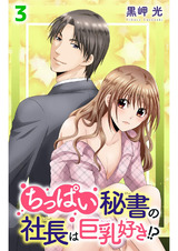 ちっぱい秘書の社長は巨乳好き!?3 パッケージ画像