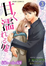 甘く濡れる嘘～結婚という名の復讐～（3巻） パッケージ画像