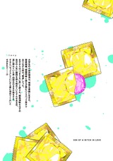 恋するサノバビッチ パッケージ画像裏
