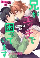兄がエッチで困っています パッケージ画像表