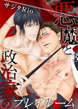 悪魔と政治家のプレイルーム(3) パッケージ画像表