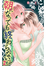 朝になっても終わらないっ！4　～ビンカン乙女は絶倫御曹司の虜～2 パッケージ画像