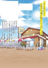 ひと夏の野獣。~ほら、ちゃんと抵抗しろよ?【単行本版特典ペーパー付き】(1) パッケージ画像裏