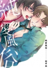 純愛風俗 パッケージ画像表