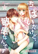 ちっぱいだけど、敏感なんです 4 パッケージ画像表