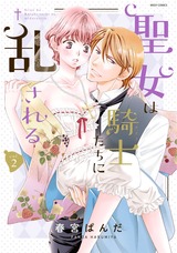 聖女は騎士たちに乱される 2 パッケージ画像表