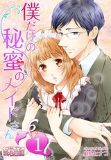 僕だけの秘蜜のメイドさん パッケージ画像表