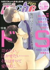 GUSHpeche ドS パッケージ画像表