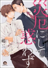 災厄にして惑わず パッケージ画像表