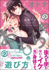 オトナのおもちゃの遊び方【電子限定かきおろし漫画付】 パッケージ画像表
