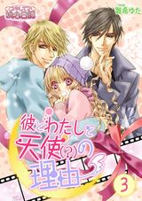 彼とわたしと天使(?)の理由 3 パッケージ画像表