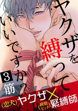ヤクザを縛っていいですか？3 パッケージ画像