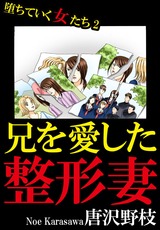 堕ちていく女たち2 パッケージ画像表