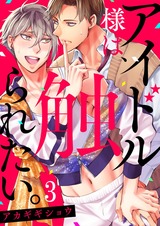 アイドル様は、触られたい。3 パッケージ画像表