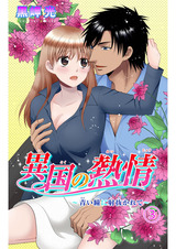 異国の熱情～青い瞳に射抜かれて～3 パッケージ画像