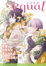 equal Vol.28β パッケージ画像表