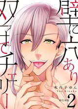 壁に穴あり双子でチェリー 【単行本版】2巻 パッケージ画像表