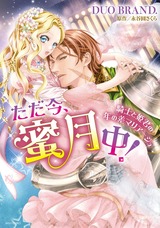 ただ今、蜜月中! 騎士と姫君の年の差マリアージュ 【電子限定特典ペーパー付き】 パッケージ画像表