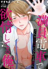 満員電車でぐちゃぐちゃにされてる男に、欲情してる俺。(3) パッケージ画像表