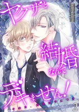ヤクザと結婚なんてデキません!~その女、男装女子につき~【描き下ろしおまけ付き特装版】 2 パッケージ画像表