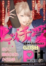 GUSHpit ビッチ受け パッケージ画像表