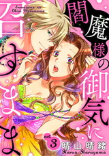 閻魔様の御気に召すまま act.3 パッケージ画像表