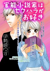 官能小説家はセクハラがお好き パッケージ画像表