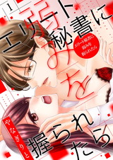エリート秘書に弱みを握られたら【描き下ろしおまけ付き特装版】 パッケージ画像表