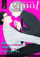 equal vol.30β パッケージ画像表