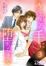 キミがこの手に堕ちるまで 3 パッケージ画像表