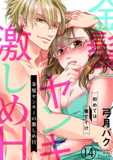 金髪ヤンキーの激しめH~初めては俺でイけ14 パッケージ画像表