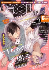 ビーボーイゴールド 2019年6月号【電子限定特典付】 パッケージ画像表
