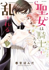 聖女は騎士たちに乱される 3 パッケージ画像表