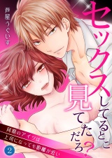 セックスしてるとこ見てただろ?~同期のアイツは上司になっても距離が近い~ 2 パッケージ画像表