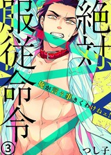 絶対、服従命令~ 俺が言う事きくわけねェ!~(3) パッケージ画像表