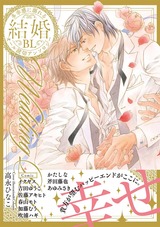 結婚BL パッケージ画像表