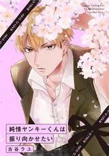 純情ヤンキーくんは振り向かせたい パッケージ画像表