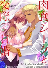 肉食シークと交際0日婚 パッケージ画像表