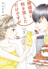 婚姻届に判を捺しただけですが（３）【電子限定特典付】 パッケージ画像