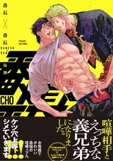 番長×番長 パッケージ画像表
