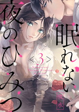 眠れない夜のひみつ3 パッケージ画像