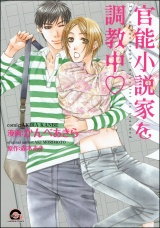 官能小説家を調教中v パッケージ画像表