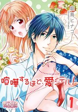 喧嘩するほど、愛シテル! パッケージ画像表