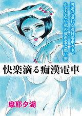 快楽滴る痴漢電車 パッケージ画像表