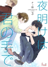 夜明けは君の手で 3 パッケージ画像表